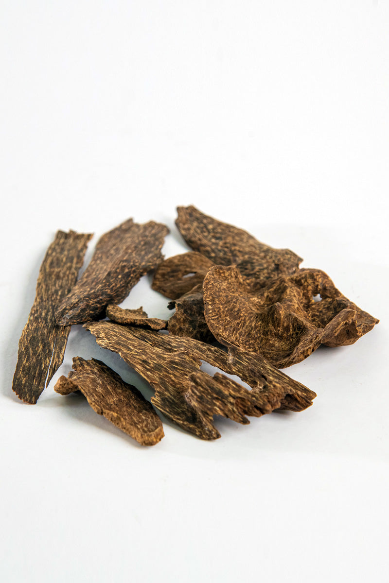 Ceylon Oud – Mabkhara Size