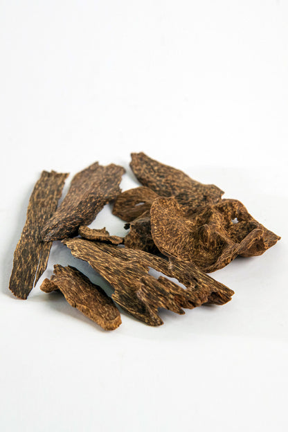 Ceylon Oud – Mabkhara Size