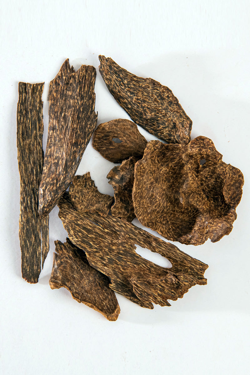 Ceylon Oud – Mabkhara Size