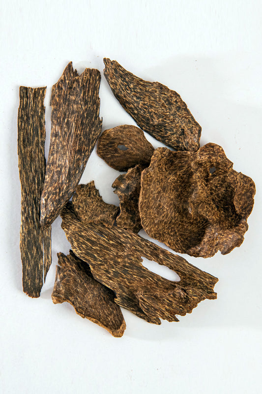 Ceylon Oud – Mabkhara Size