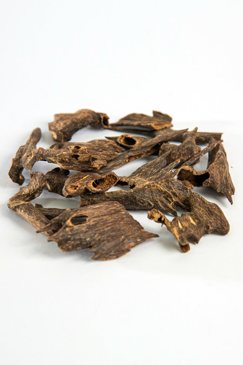 Indian Double-Sided Chocolate