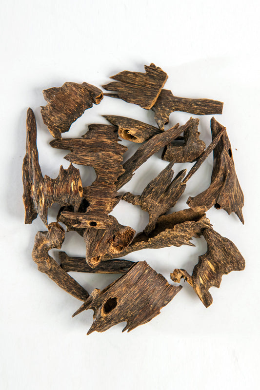 Indian Muri Oud – Jumbo size