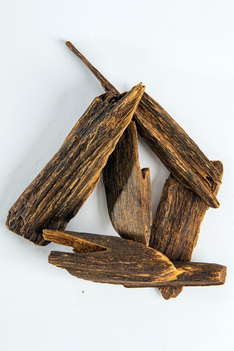ارياني نوادر النوادر السلاطين
